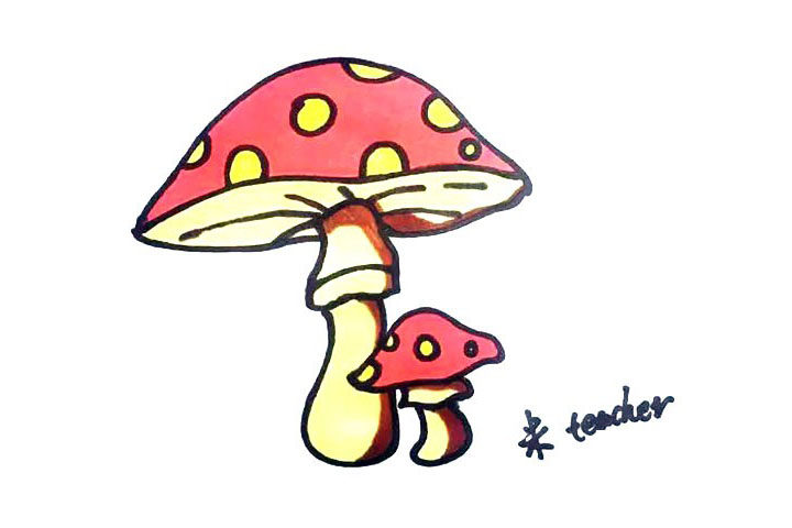 漂亮的蘑菇简笔画画法步骤