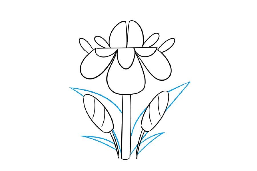 漂亮的小花简笔画画法步骤
