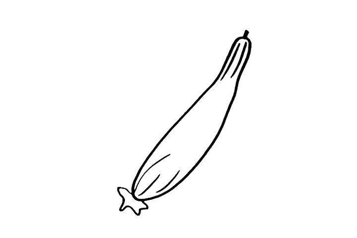 黄瓜简笔画画法步骤