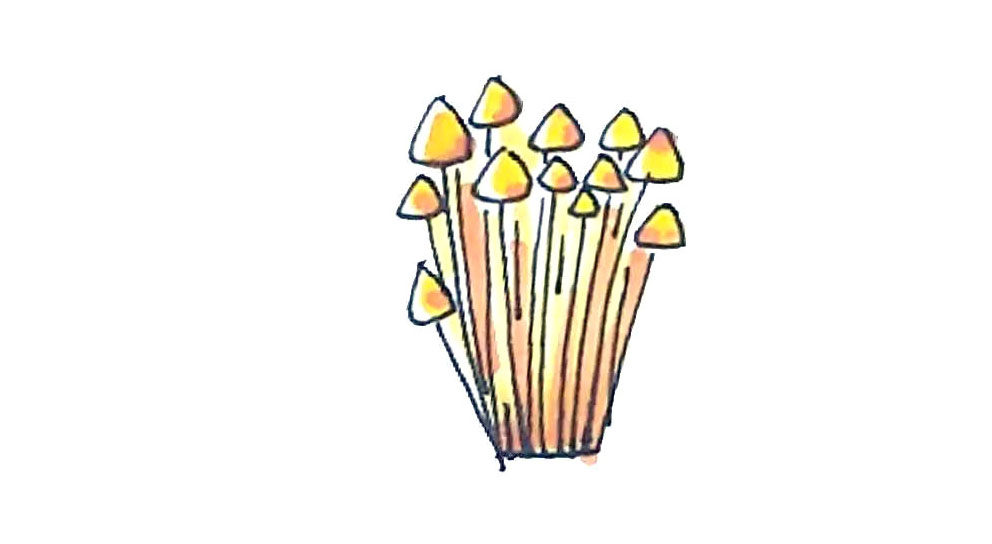 金针菇简笔画怎么画