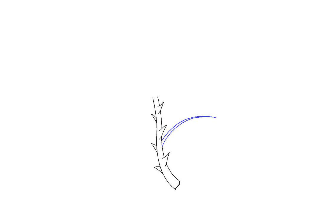 如何画一朵漂亮的玫瑰花