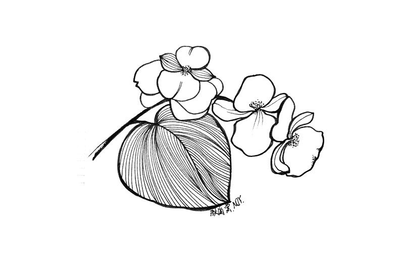 小花简笔画图片漂亮简单