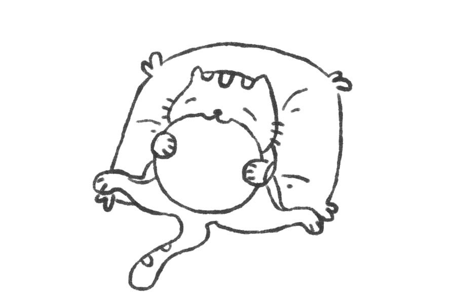 吃曲奇的小猫简笔画教程