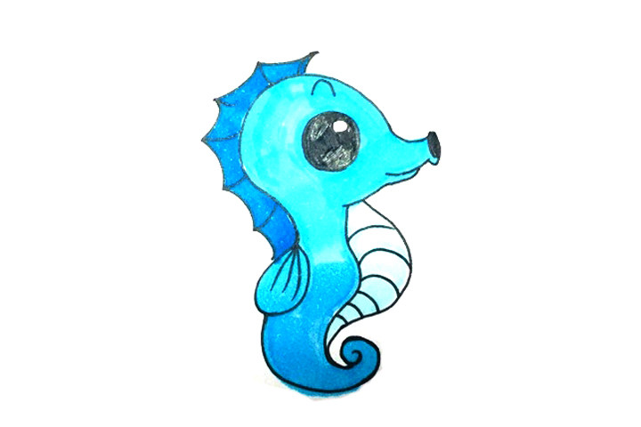 可爱海马怎么画 海马是什么
