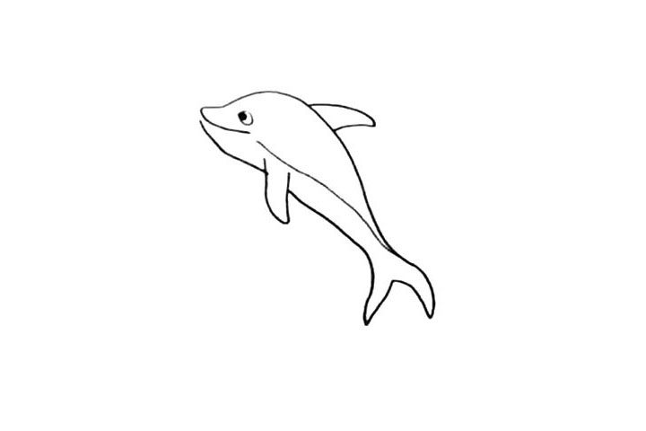 海豚简笔画怎么画
