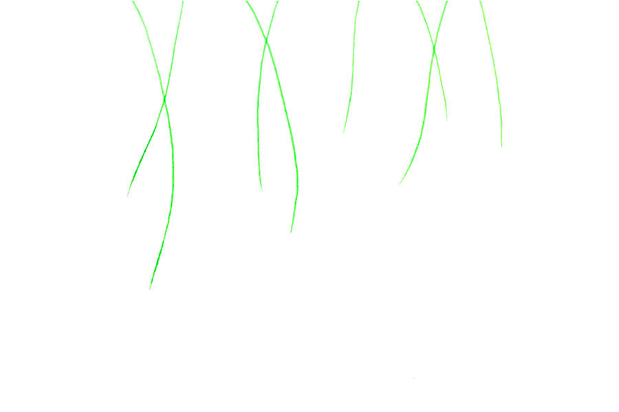如何画春天的藤蔓植物