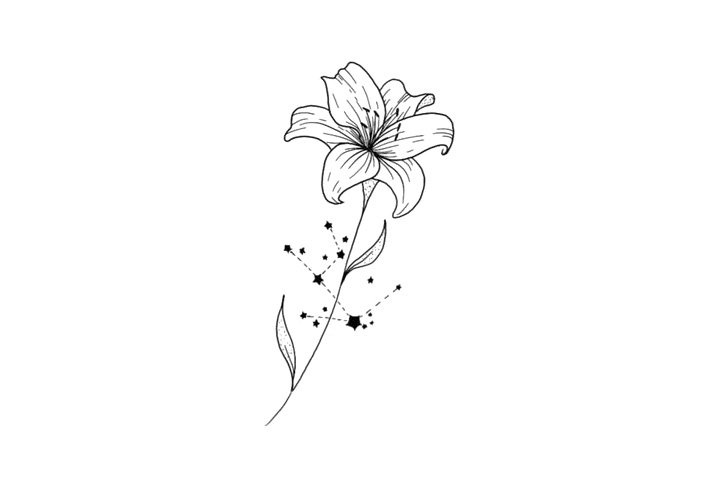 鲜花简笔画之十二星座与鲜花