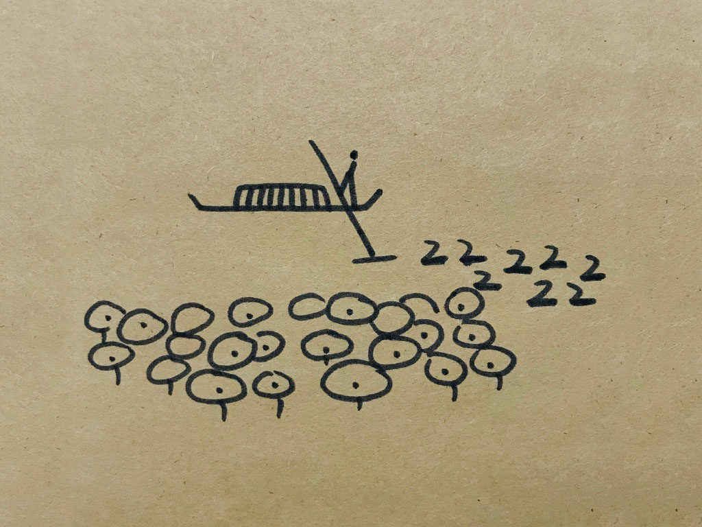 荷叶风景简笔画图片