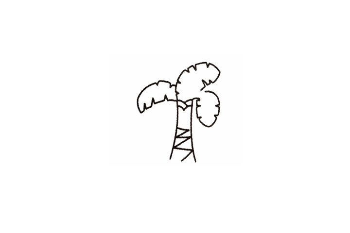 芭蕉树的画法