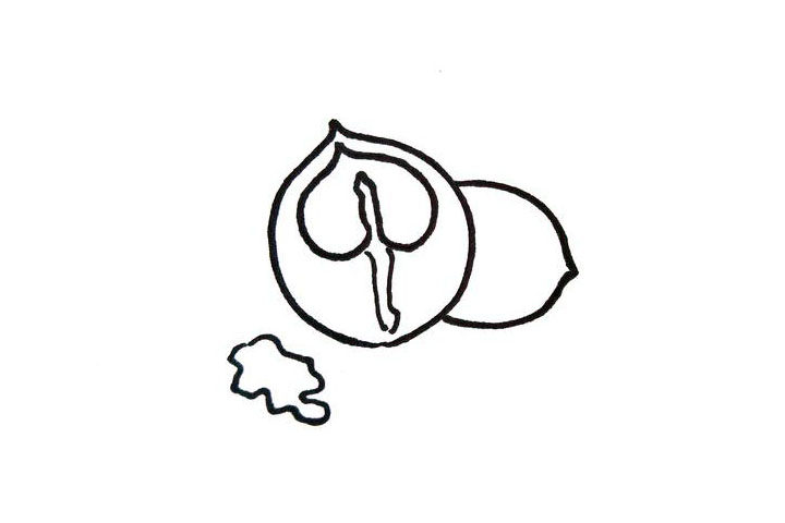 核桃简笔画怎么画