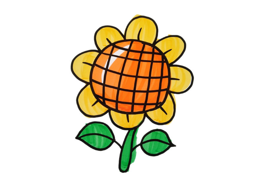 一组漂亮的花花简笔画图片