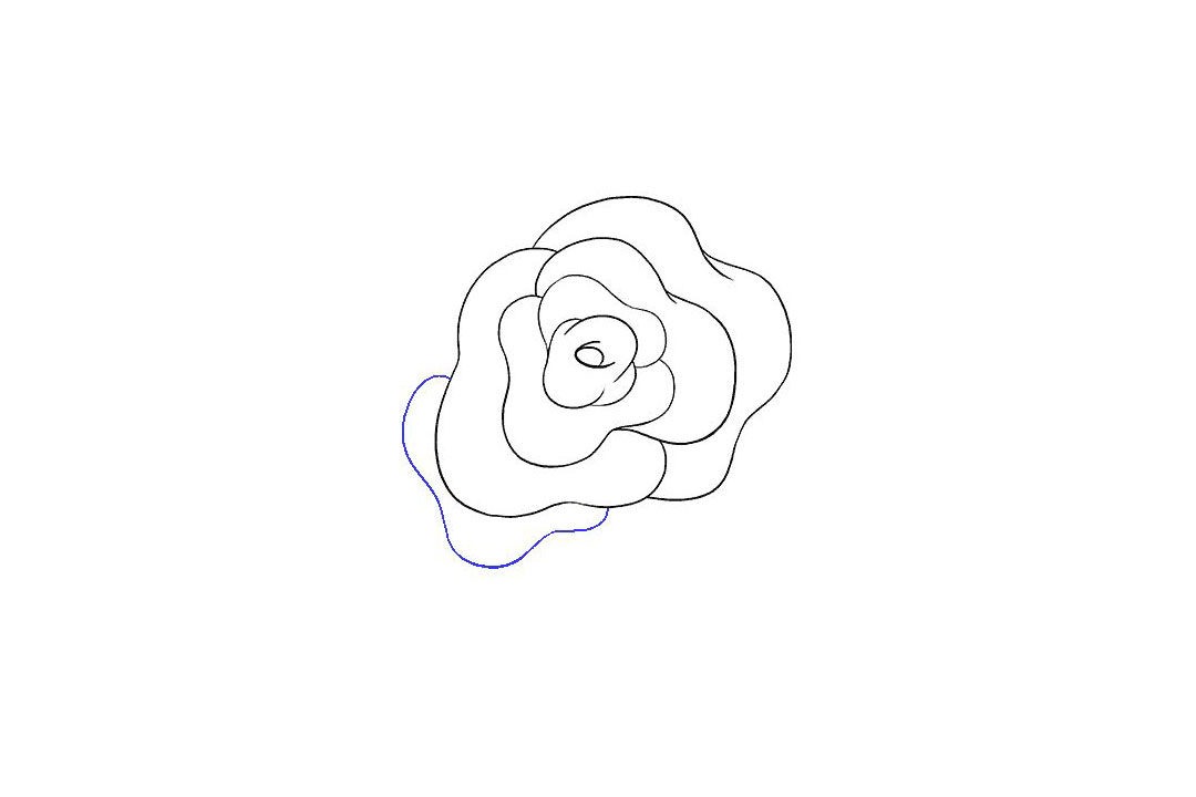 如何画玫瑰花简笔画