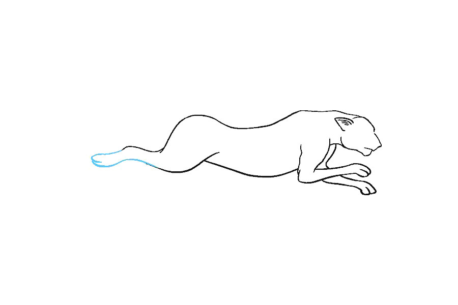 如何画猎豹