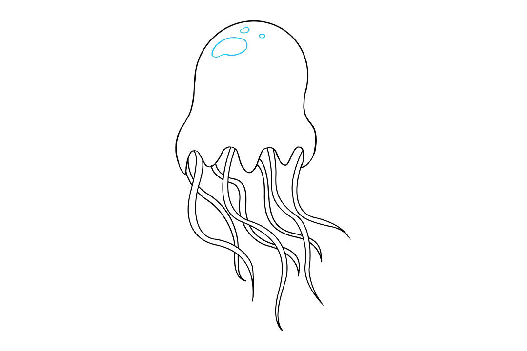 水母怎么画