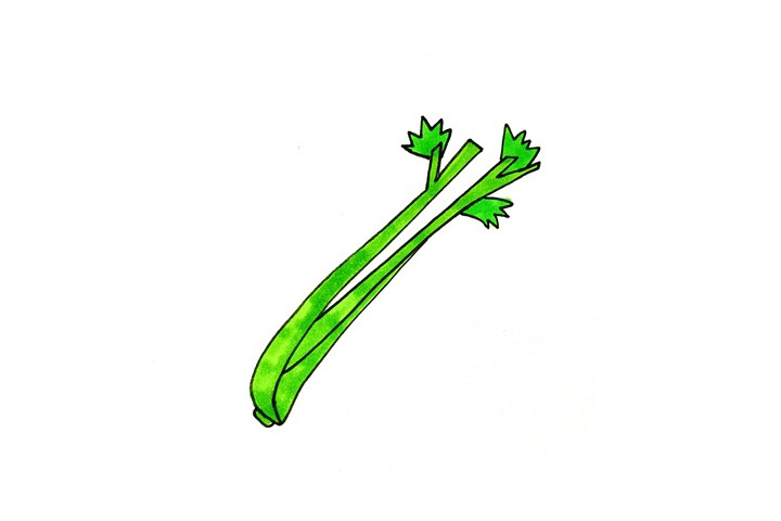 如何画芹菜