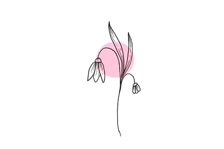 植物花草简笔画10种漂亮的小花简笔画