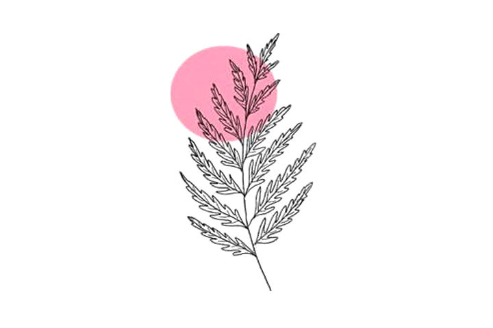 植物花草简笔画12种漂亮的小草简笔画图片