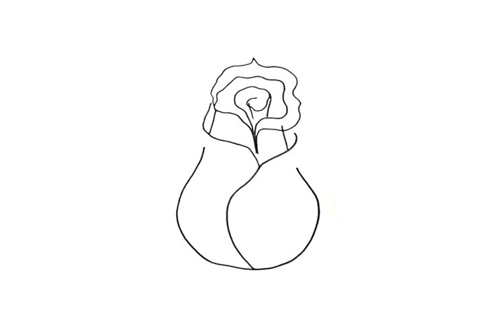 粉玫瑰简笔画画法步骤