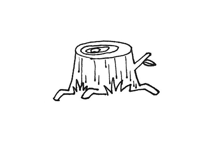 树桩简笔画画法步骤