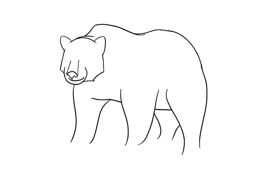 如何画棕熊