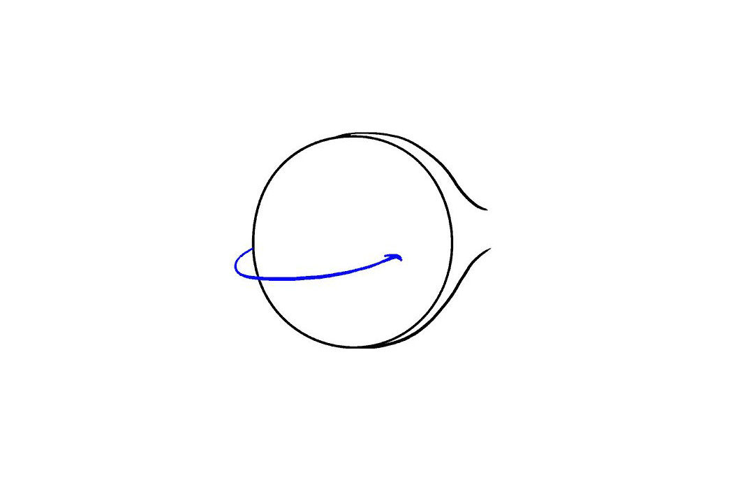 卡通鱼的画法