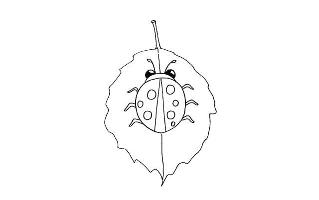 树叶上的七星瓢虫简笔画画法步骤