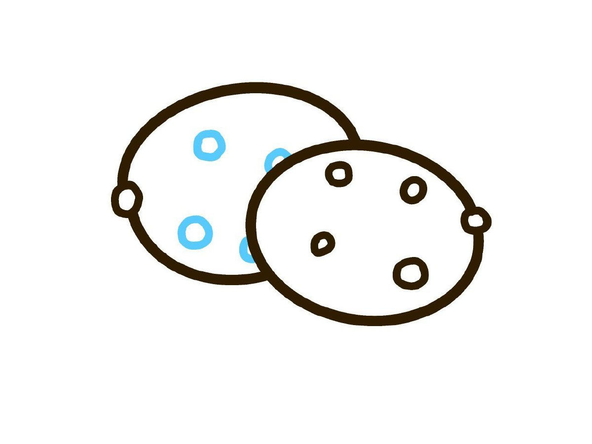 曲奇饼干简笔画画法步骤