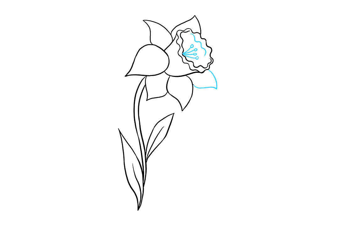 水仙花怎么画
