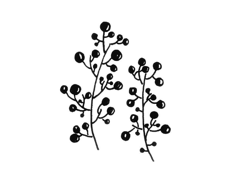一组小植物简笔画图片