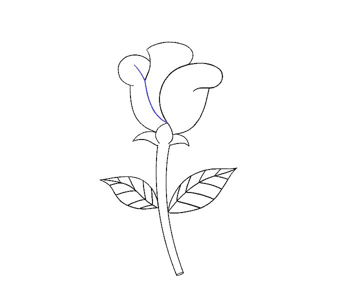 如何画一朵简单的玫瑰花