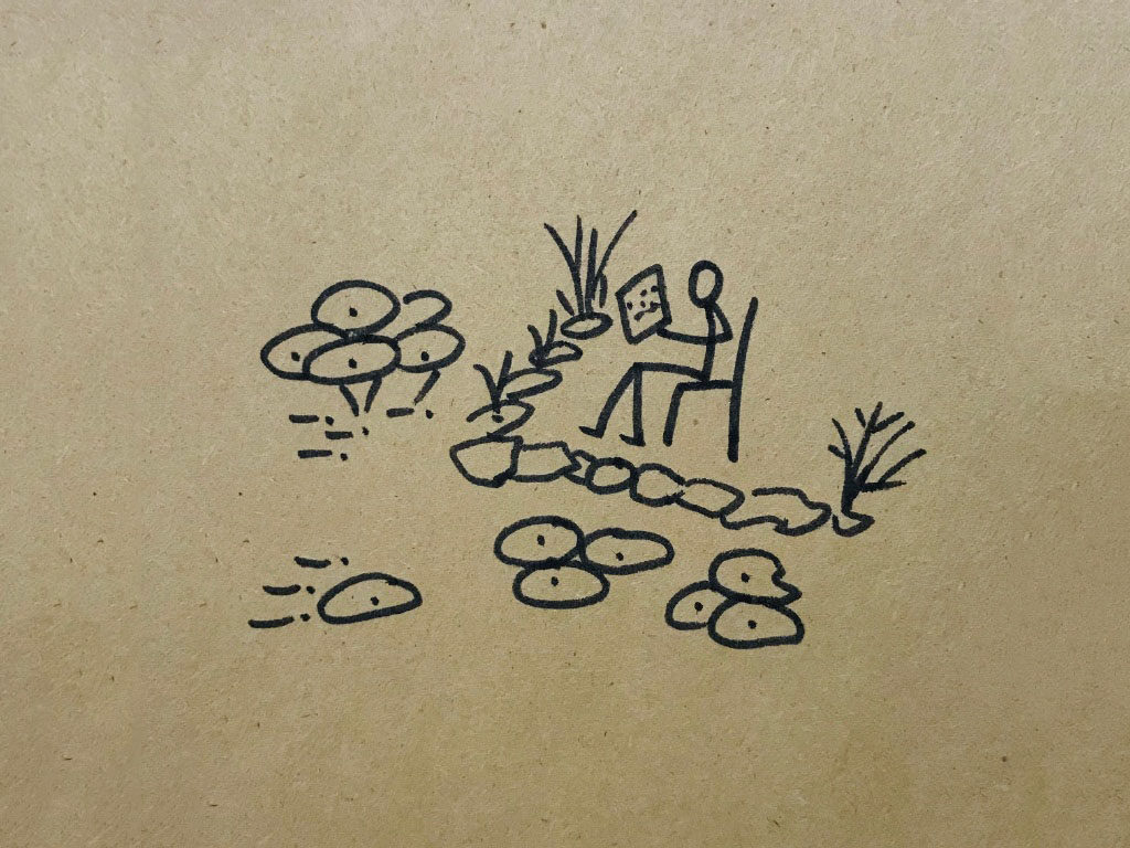 荷叶风景简笔画图片