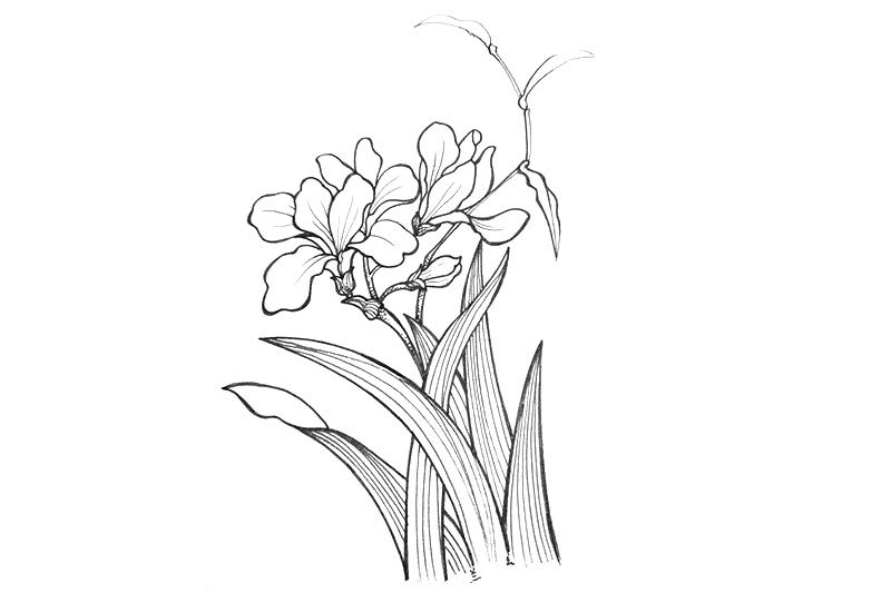 一组漂亮的小花简笔画图片