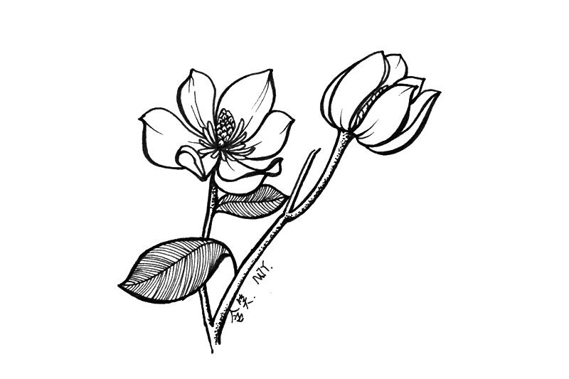小花简笔画图片漂亮简单