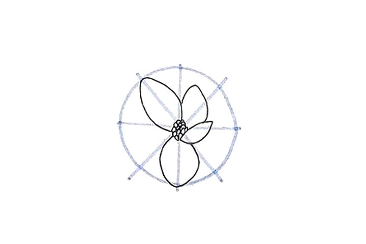 详细花朵绘画步骤 木兰花花朵简笔画画法