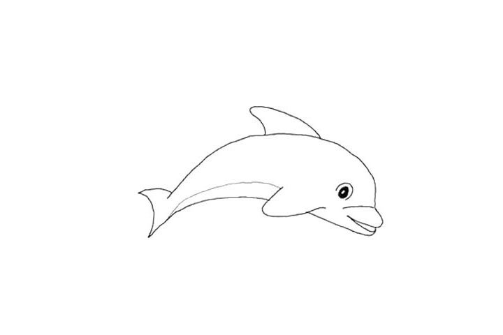 海豚简笔画画法教程