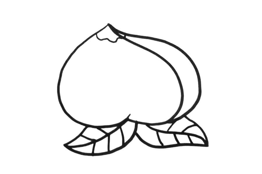 桃子怎么画