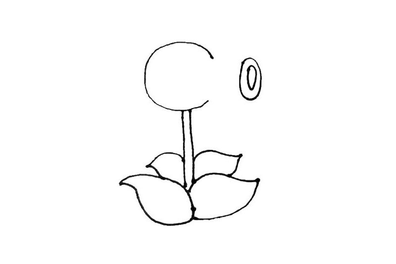 豌豆射手简笔画画法步骤