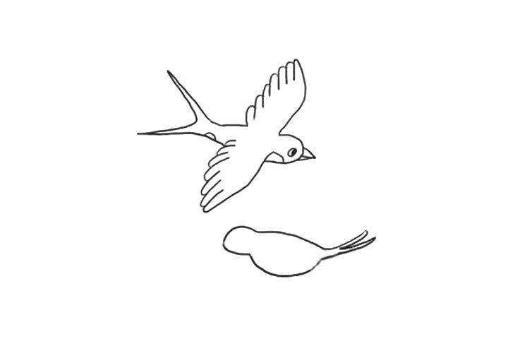 关于小燕子简笔画画法步骤