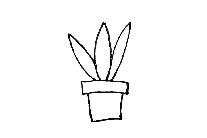 虎皮兰简笔画画法步骤