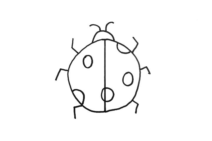 七星瓢虫的画法步骤
