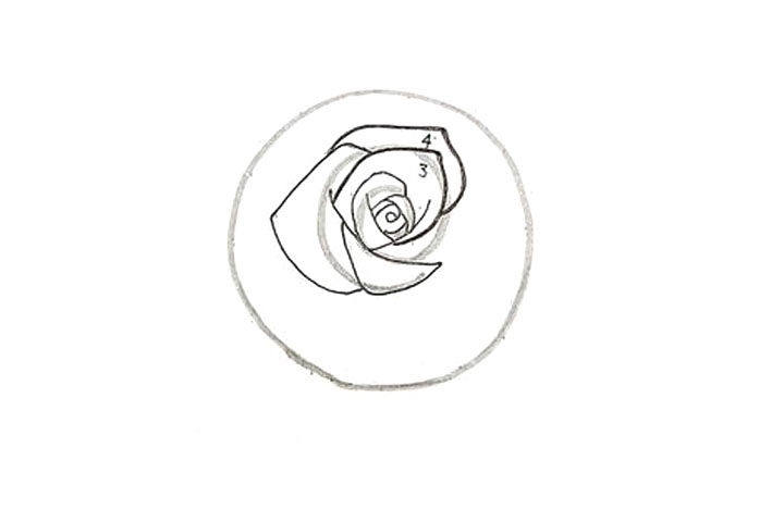 玫瑰花花朵简笔画画法步骤