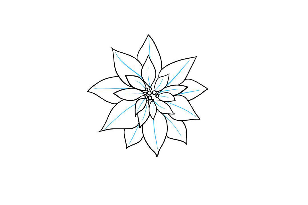 一品红简笔画怎么画