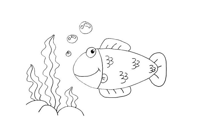 海底小鱼简笔画教程