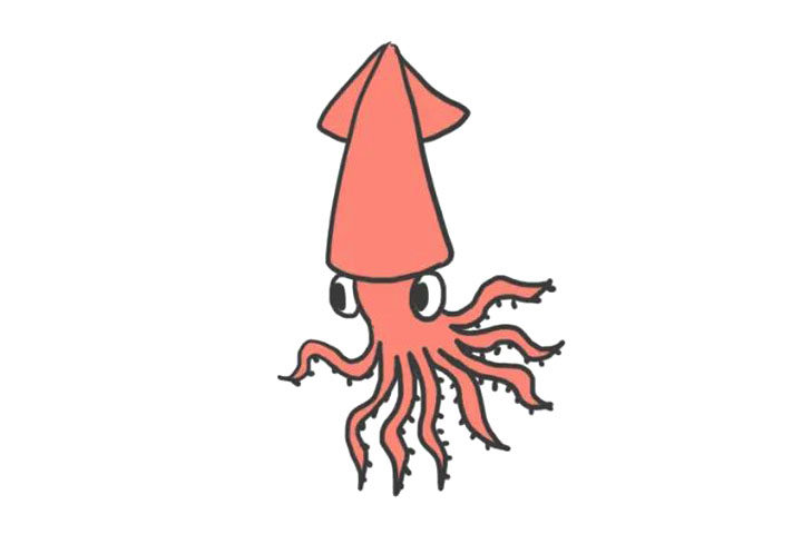 海洋生物乌贼简笔画怎么画