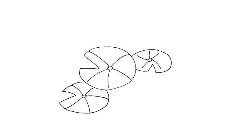 莲花简笔画教程