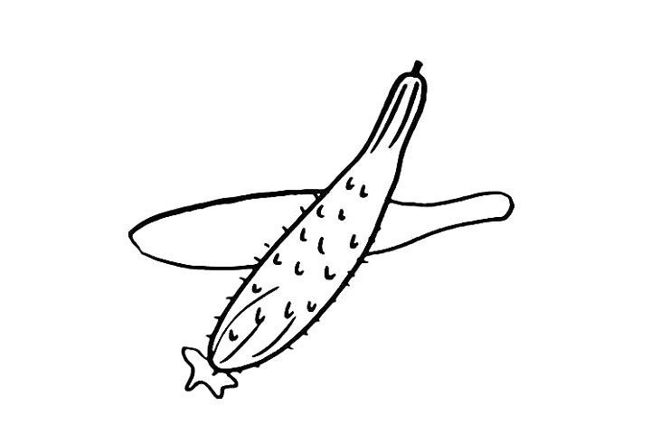 黄瓜简笔画画法步骤