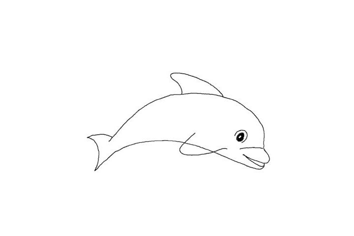 海豚简笔画画法教程
