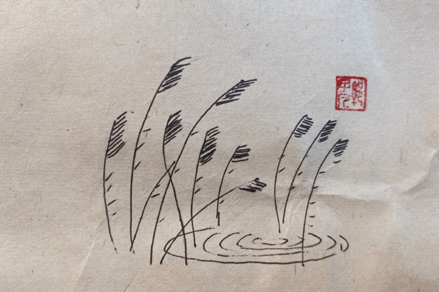 池塘风景简笔画图片