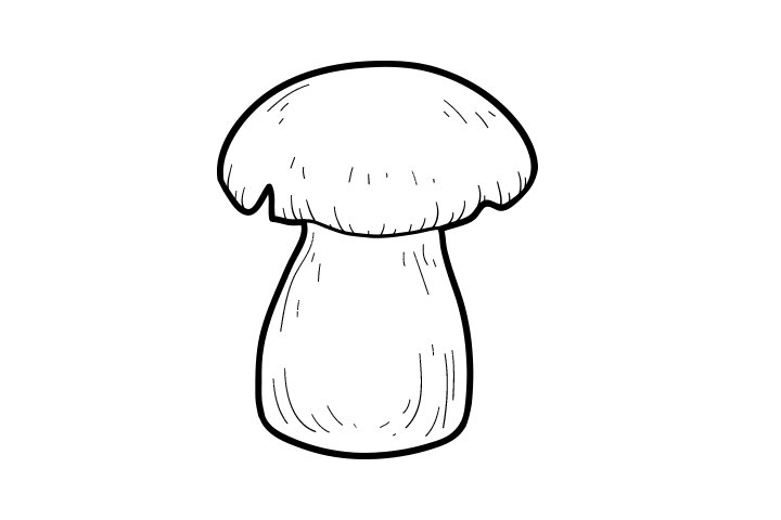 各种野生菌的画法