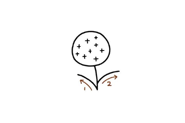 可爱小花绣球花简笔画教程